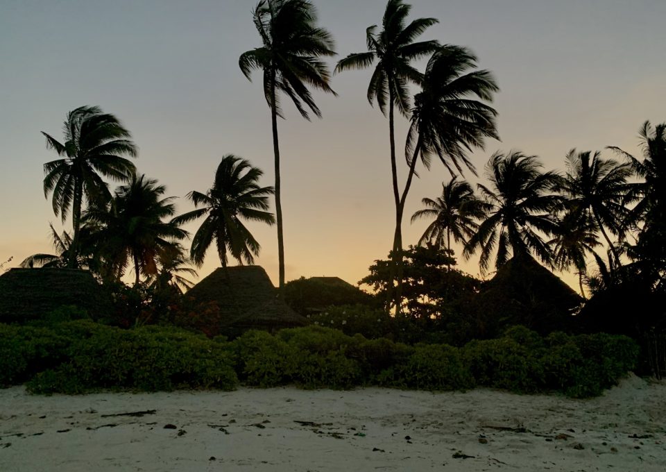 Zanzibar Bilde4