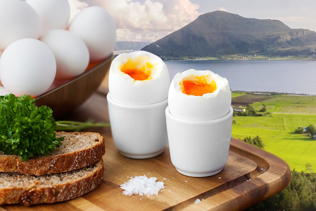 Sunnmørsegg